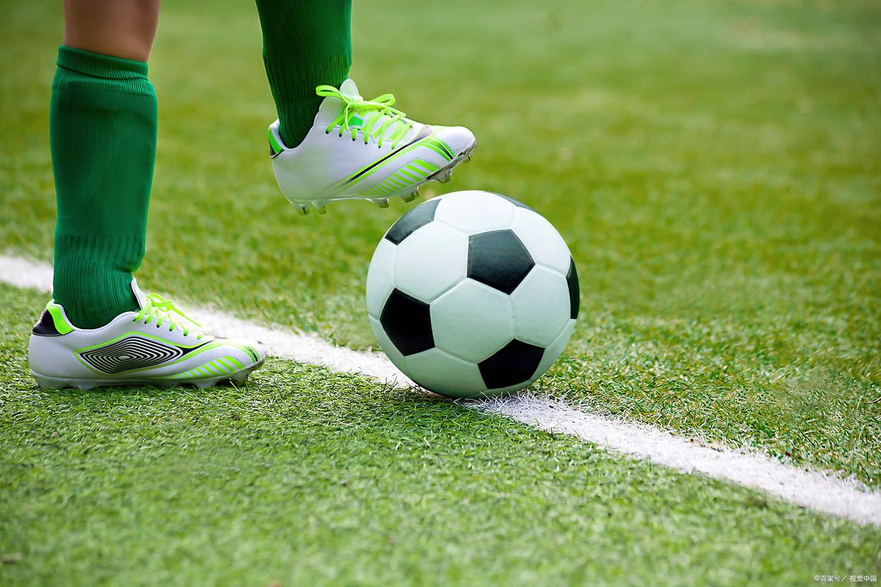 不仅具备全 不仅具备全