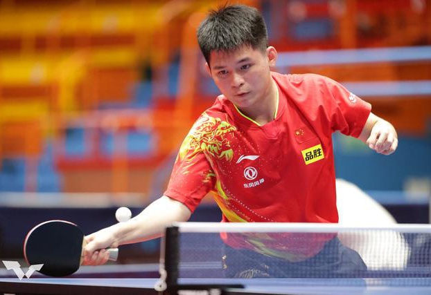 森林狼能否 森林狼能否